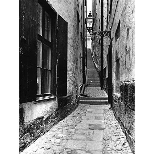 Wee Blue Coo Gamla Stan Stockholm Schweden Treppen Alley Lane Leinwanddruck, Schwarz und Weiß von Wee Blue Coo