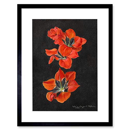 Wee Blue Coo Hoffmann Red Lily Artwork Framed Wall Art Print 12X16 Inch Wand von Wee Blue Coo