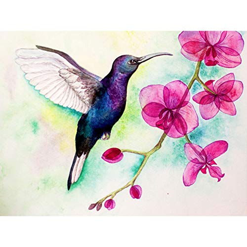 Wee Blue Coo LTD Hummingbird and Orchid Art Print Poster Wall Decor Wand Deko von Wee Blue Coo