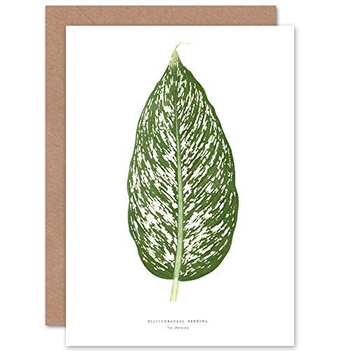 Wee Blue Coo Botanisches Blatt Dieffenbachia Seguina Geburtstagskarte von Wee Blue Coo