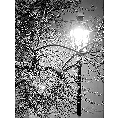 Wee Blue Coo Lonely Street Lamp Winter Night Black White Photo Art Large Art Print Poster Wall Decor 18x24 inch von Wee Blue Coo