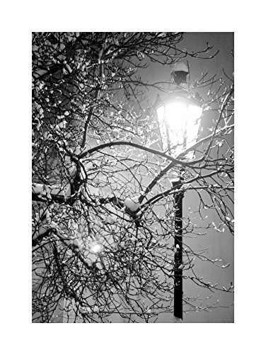 The Art Stop LONELY STREET LAMP WINTER NIGHT BLACK WHITE PHOTO FRAMED PRINT PICTURE F12X488 von Wee Blue Coo