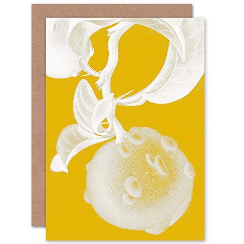 Wee Blue Coo Modern Bold Biodiversity Orange Plant Greeting Card With Envelope Inside Premium Quality Pflanze von Wee Blue Coo