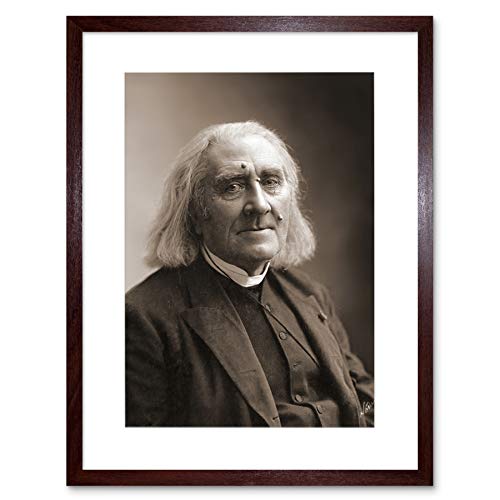 Wee Blue Coo NADAR COMPOSER FRANZ LISZT FRAMED ART PRINT F12X11370 Wee Blue Coo NADAR COMPOSER FRANZ LISZT FRAMED ART PRINT F12X11370 von Wee Blue Coo