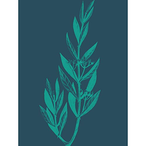 Wee Blue Coo Navy And Teal Star Flowers Large Wall Art Poster Print Thick Paper 18X24 Inch Marine Blumen Wand Poster drucken von Wee Blue Coo