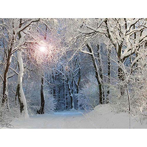 Wee Blue Coo Photo Painting Digital Winter Forest Trees Gift Art Print Poster Wall Decor Kunstdruck Poster Wand-Dekor-12X16 Zoll von Wee Blue Coo