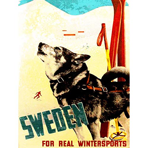 Wee Blue Coo Travel Tourism Winter Sport Ski Husky Dog Snow Sweden Art Print Poster Wall Decor Kunstdruck Poster Wand-Dekor-12X16 Zoll von Wee Blue Coo