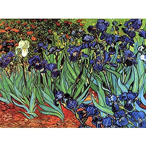 Wee Blue Coo Van Gogh Irises Unframed Wall Art Print Poster Home Decor Premium Wand Zuhause Deko von Wee Blue Coo