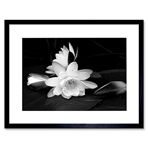 Wee Blue Coo WHITE FLOWER BLOOM BLACK BACKGROUND FRAMED ART PRINT PICTURE B12X9435 Wee Blue Coo WHITE FLOWER BLOOM BLACK BACKGROUND FRAMED ART PRINT PICTURE B12X9435 von Wee Blue Coo