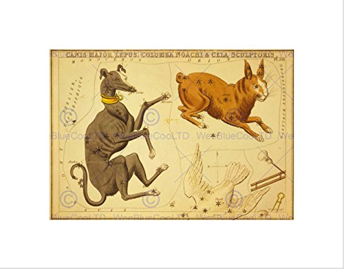 The Art Stop DRAWING STAR MAP CANIS MAJOR HARE DOG CONSTELLATION FRAMED PRINT B12X10913 von Wee Blue Coo