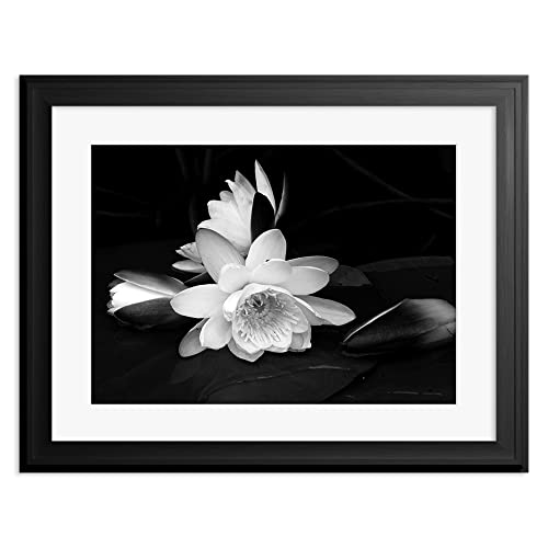Wee Blue Coo White Flower Bloom Black Background Mounted Art Print Premium Framed Poster Wall Decor 12X16 Inch Spoon Moulding von Wee Blue Coo