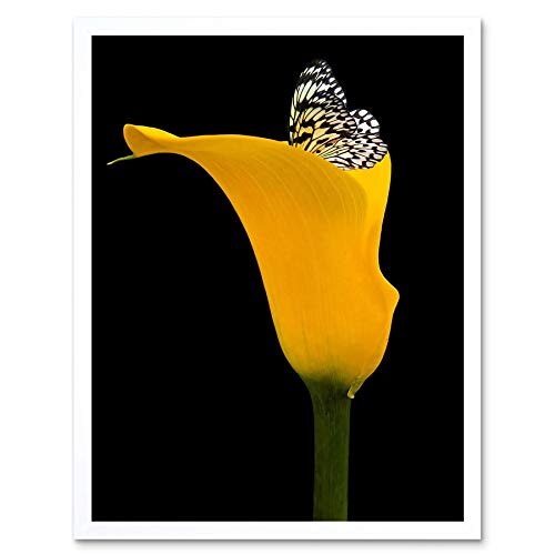 Wee Blue Coo Yellow Flower Black White Butterfly Art Print Framed Poster Wall Decor Kunstdruck Poster Wand-Dekor-12X16 Zoll Wee Blue Coo Yellow Flower Black White Butterfly Art Print Framed Poster Wall Decor Kunstdruck Poster Wand-Dekor-12X16 Zoll von Wee Blue Coo
