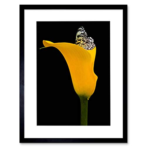 YELLOW FLOWER BLACK WHITE BUTTERFLY PHOTO FRAMED ART PRINT PICTURE F12X1932 von Wee Blue Coo