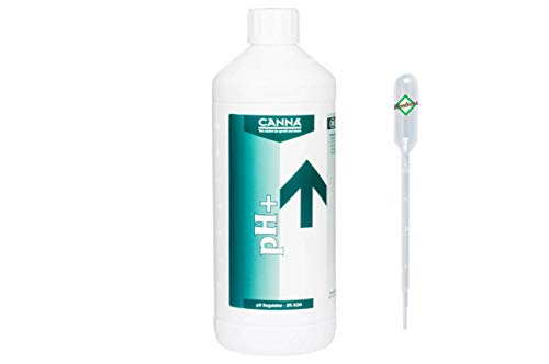 Canna pH+ Plus 1 Liter Flüssig - pH-heber Grow Anbau Indoor Dünger Flüssig Heben von Weedness