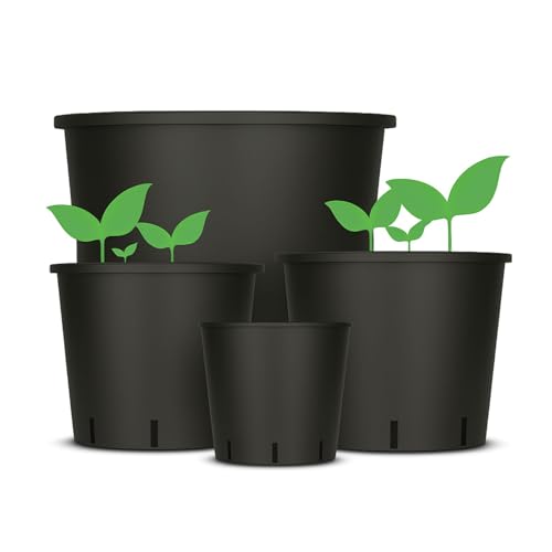 Weedness Blumentopf Rund Kunststoff 5 Liter 20 x 20 cm, Schwarz für Innen & Außen, Grow Anbau Pflanzen-Topf Pflanzgefäß Blumen-Kübel Balkon Garten Weedness Blumentopf Rund Kunststoff 5 Liter 20 x 20 cm, Schwarz für Innen & Außen, Grow Anbau Pflanzen-Topf Pflanzgefäß Blumen-Kübel Balkon Garten von Weedness