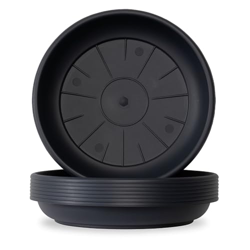 Weedness Blumentopf Untersetzer Rund Ø 20 cm in Schwarz für Außen & Innen - Blumentöpfe Plastik Pflanzentopf Pflanzgefäß Pflanzkübel Anzuchttopf Blumenkübel Garten Balkon Weedness Blumentopf Untersetzer Rund Ø 20 cm in Schwarz für Außen & Innen - Blumentöpfe Plastik Pflanzentopf Pflanzgefäß Pflanzkübel Anzuchttopf Blumenkübel Garten Balkon von Weedness