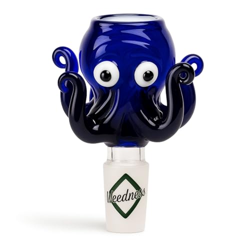 Weedness Bong-Glas-Kopf 14,5 mm Schliff Octopus - Steckkopf Chillum Adapter Bong Zubehör Köpfchen Head Aufsatz Bowl Weedness Bong-Glas-Kopf 14,5 mm Schliff Octopus - Steckkopf Chillum Adapter Bong Zubehör Köpfchen Head Aufsatz Bowl von Weedness