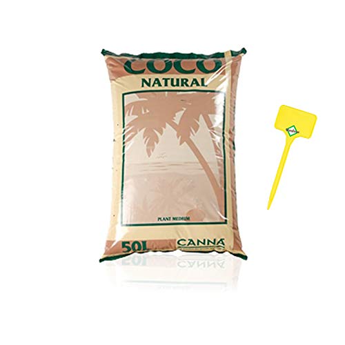 Weedness Canna Coco Natural 50 Liter - Kokoserde gepresst Blumenerde Substrat Humusziegel Kokos Anzuchterde Grow von Weedness