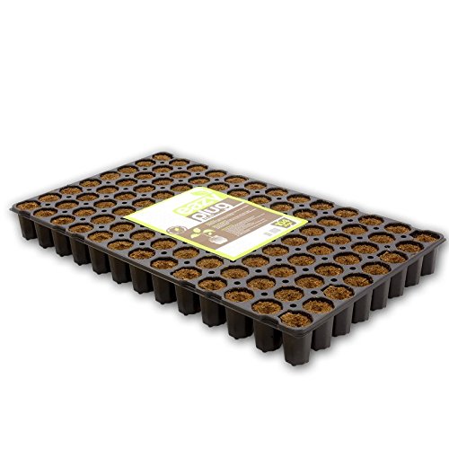 Eazy Plug Anzuchtset 104 Stück groß - Torfquelltöpfe Anzuchterde Aussaaterde Torftablette Quelltabletten von Weedness