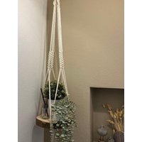 Makramee Blumenampel Mit Baumscheibe Makramee Blumenampel Mit Baumscheibe von WeekendMakramee