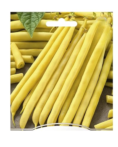 WegAna Bohnen Buschbohnen Berrgold Samen 40g, Zwergbohne Robuste Gemüsesamen, Gemüse Samen, Samen Anzucht, Saatgut für Gewächshaus von WegAna