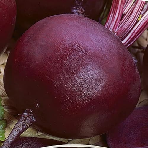WegAna Bona Rote Beete Samen 500 g Mittelspäte Sorte, Intensives Rot, Robuste Gemüsesamen, Gemüse Samen, Samen Anzucht von WegAna