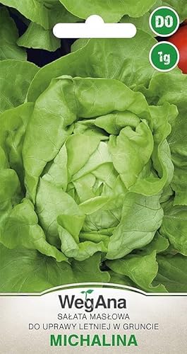 WegAna Butterkopfsalat Michalina Samen 1g, Grüne Kopfsalate, Robuste Gemüsesamen, Gemüse Samen, Samen Anzucht, Saatgut für Gewächshaus von WegAna