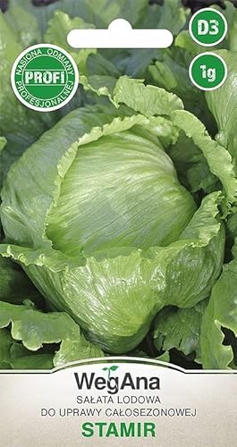 WegAna Eisbergsalat Stamir 1g Samen, Gemüse Samen Anzucht Saatgut für Gewächshaus Garten Salat von WegAna