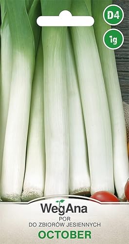 WegAna Lauchsamen 1g Porree October Robuste Gemüsesamen, Gemüse Samen Anzucht Saatgut für Gewächshaus Garten von WegAna