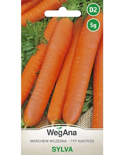 WegAna Möhren Samen Nantess Sylvia 5g (Etwa 4700 Samen) Saftige Karotte, Robuste Gemüsesamen, Gemüse Samen, Samen Anzucht, Saatgut für Gewächshaus von WegAna