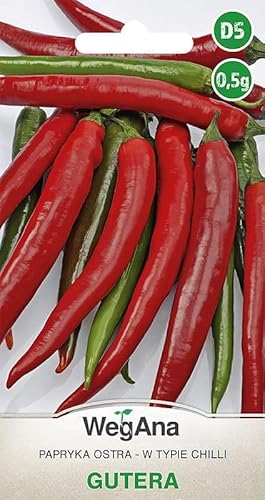 WegAna Paprika Gutera Chilischote Samen 0,5g Robuste Gemüsesamen Gemüse Samen Anzucht Saatgut für Gewächshaus Balkon Terasse Paprikasamen Scharfe Pfeffersamen von WegAna