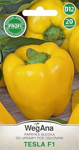 WegAna Paprika Tesla 20 Samen Robuste Gemüsesamen Gemüse Samen Anzucht Saatgut für Gewächshaus Paprikasamen von WegAna