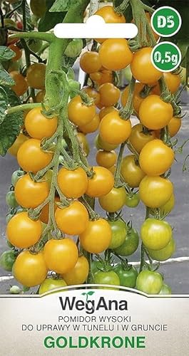 WegAna Tomate Goldkrone Tomatensamen Gelb 0,5g, Cocktailsorte, Robuste Gemüsesamen, Gemüse Samen, Samen Anzucht, Saatgut für Gewächshaus von WegAna