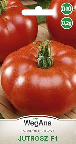 WegAna Tomaten Jutrosz (F1) 0,2g Samen Tomatensamen Robuste Gemüsesamen Gemüse Samen Anzucht Saatgut für Gewächshaus Garten Frühe Sorte von WegAna