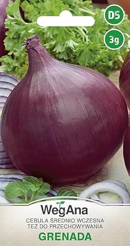 WegAna Zwiebel Grenada Samen 3g Gemüsezwiebel Mittelfrüh Saatgut, Robuste Gemüsesamen, Gemüse Samen, Samen Anzucht von WegAna