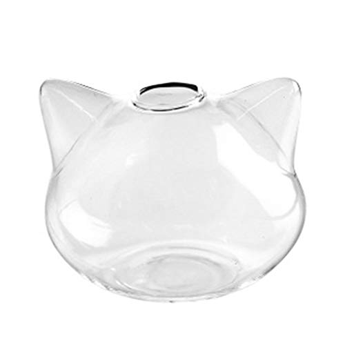 Für Kopfform Klarglas Vase Flasche Blume Flasche Glas für Zuhause Pflanze Blume Dec Eichhörnchen Futterspender Für Kopfform Klarglas Vase Flasche Blume Flasche Glas für Zuhause Pflanze Blume Dec Eichhörnchen Futterspender von Wegiwuca