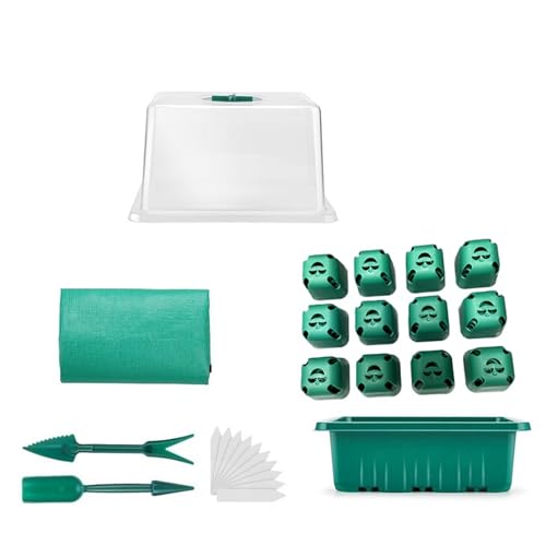 Wegiwuca Sämlingsschale Miniatur Treibhaus Blumenstarter Kits Für Innen Und Außenpflanze Propagationsbox Mit Klarem Innengarten Set Mit Klarem Deckel von Wegiwuca