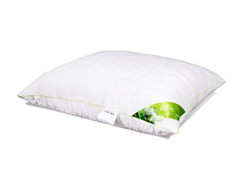 Kopfkissen Schlafkissen Baumwolle Bambus Steppkissen mit Reißverschluss Kissen weiß für Allergiker atmungsaktiv waschbar 60 Grad 40x40 40x60 50x60 50x70 70x80 Premium Qualität Öko-Tex Standard von Weiches