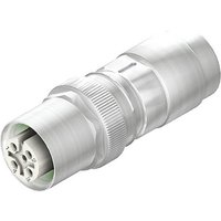 Weidmüller 2664800000 Sensor-/Aktor-Steckverbinder M12 Buchse Polzahl: 4 1St. von Weidmüller