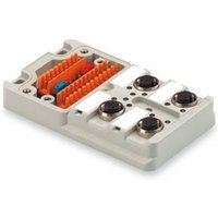 Weidmüller SAI-4M 4P M12 UT 1705921000 Sensor/Aktorbox passiv M12-Verteiler mit Metallgewinde 2St. von Weidmüller