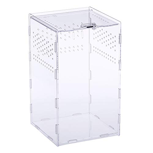 Weigudoc Fütterungsbox Transparenter Reptilienzucht Koffer, Acryl Habitat Terrarium Transportbox Reptilienzuchtbox für Spide, Eidechse, Skorpion, Hundertfüßer, Gehörnter Frosch, Käfer(25 * 15 * 15) von Weigudoc