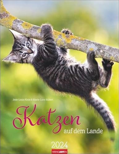 Katzen auf dem Lande Kalender 2024. Süße Kätzchen in ländlicher Idylle: Ein Foto-Kalender zum Dahinschmelzen. Planer mit Platz zum Eintragen. Hochformat 30x39 cm von Harenberg u.Weingarten