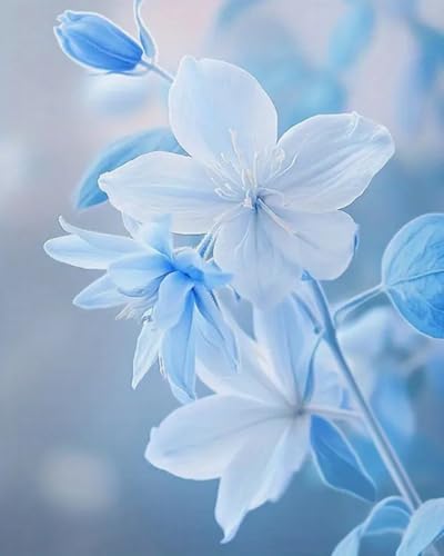 Weiniuniu Kreuzstich Stickpackung Blaue Blumen DIY Stickvorlagen Stickbilder 11CT Vorgedruckt Kreuzstich Set für Anfänger Home Decor 50x70 cm Weiniuniu Kreuzstich Stickpackung Blaue Blumen DIY Stickvorlagen Stickbilder 11CT Vorgedruckt Kreuzstich Set für Anfänger Home Decor 50x70 cm von Weiniuniu