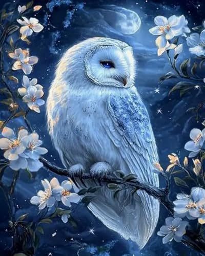 Weiniuniu Kreuzstich Stickpackung Blumeneule DIY Stickvorlagen Stickbilder 11CT Vorgedruckt Kreuzstich Set für Anfänger Home Decor 40x50 cm Weiniuniu Kreuzstich Stickpackung Blumeneule DIY Stickvorlagen Stickbilder 11CT Vorgedruckt Kreuzstich Set für Anfänger Home Decor 40x50 cm von Weiniuniu