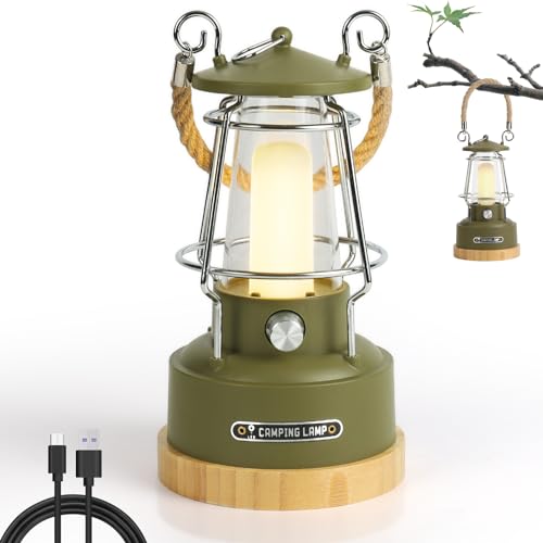 Weinsamkeit Retro Outdoor Campinglampe, LED-Laterne Aufladbar mit USB, Akku Aufladbar, Stufenlos Dimmbar, 75h Leuchtzeit, für Camping, Stromausfälle, Garten und Dekoration (Grün) von Weinsamkeit