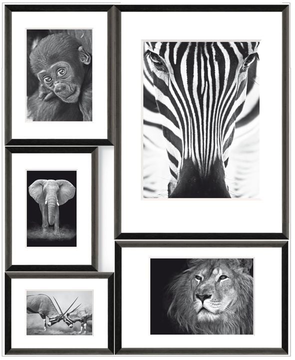 Bilderrahmen Collage Wild Africa 5 Fotos, 53 x 65 cm Bilderrahmen Collage Wild Africa 5 Fotos, 53 x 65 cm von Weitere