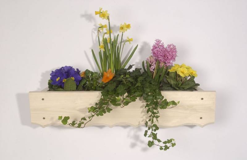 Blumenkasten 800 x 168 x 230 mm von Weitere