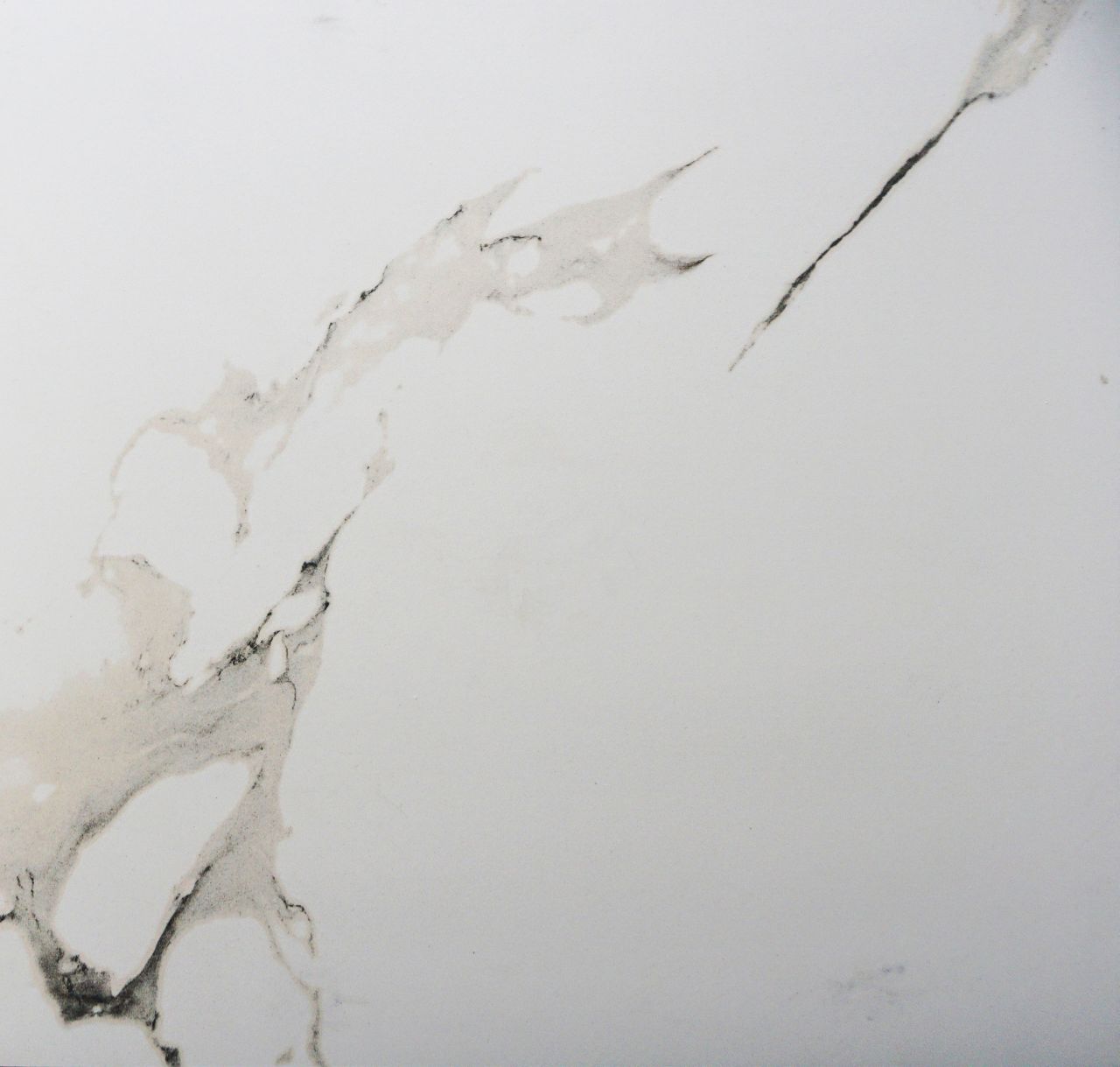 Bodenfliese Feinsteinzeug Lumitec Carrara 60 x 60 cm weiß von Euro Stone