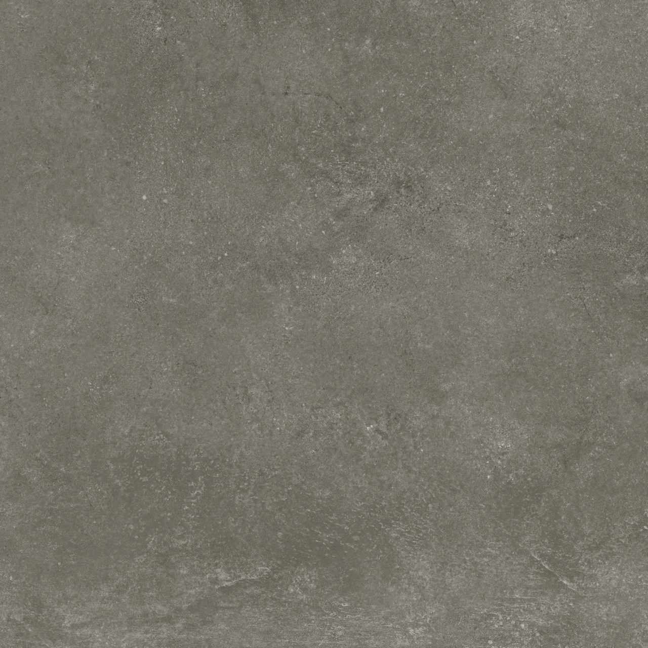 Bodenfliese Feinsteinzeug Modern Concrete 60 x 60 cm graphit von Weitere