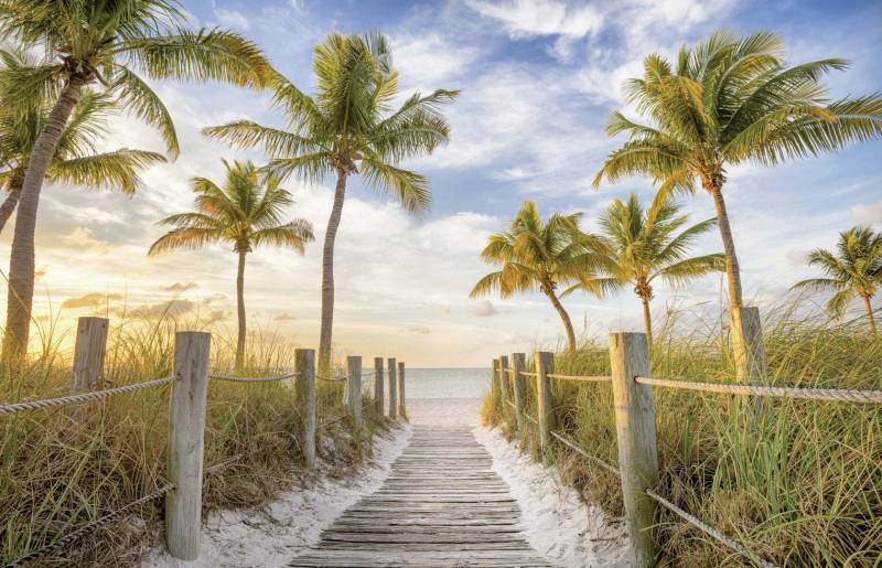 Deco-Block Bild - Wood Path 90 x 58 cm von Weitere